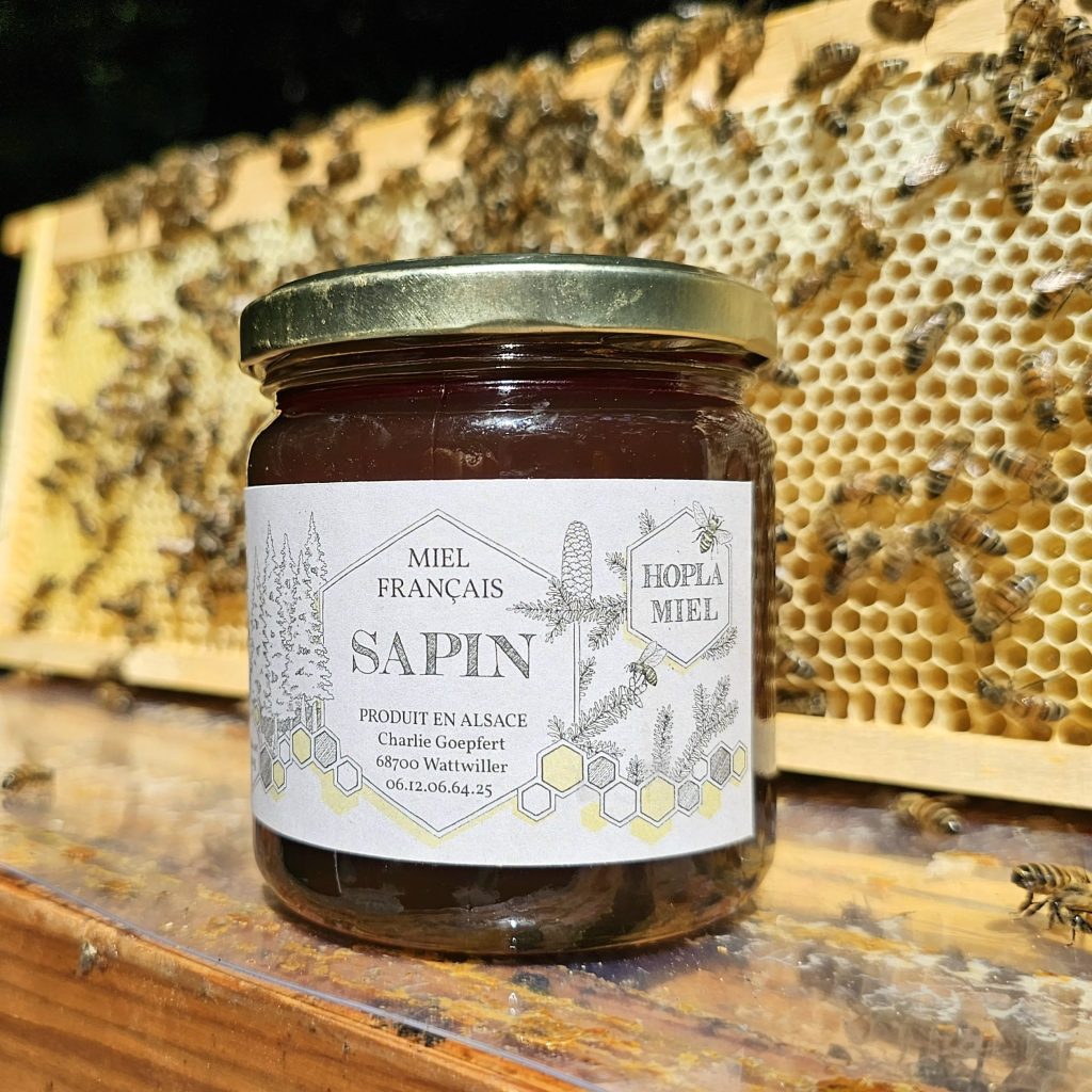 Miel de Sapin